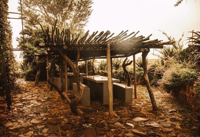 ユースホステル Amphitheatre Backpackers Lodge