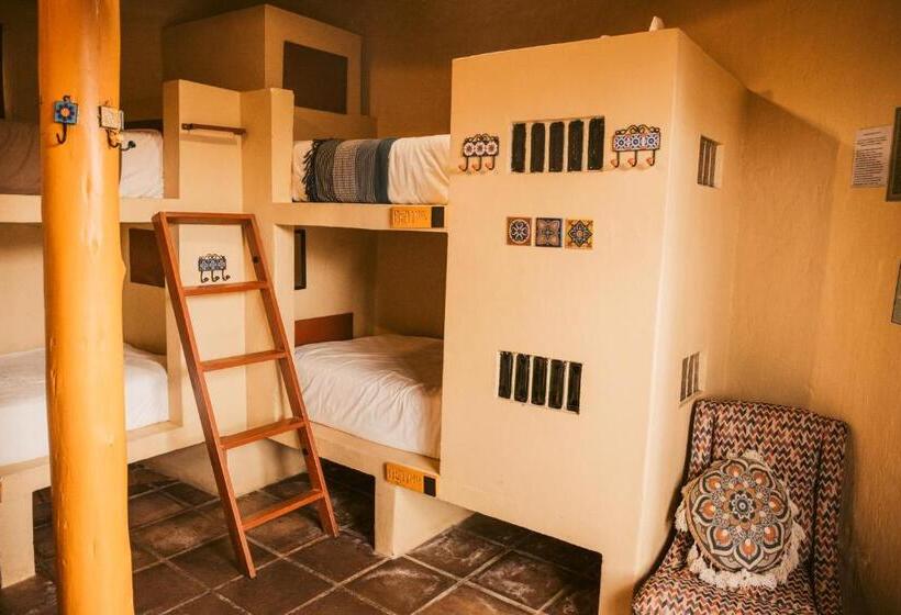 ユースホステル Amphitheatre Backpackers Lodge