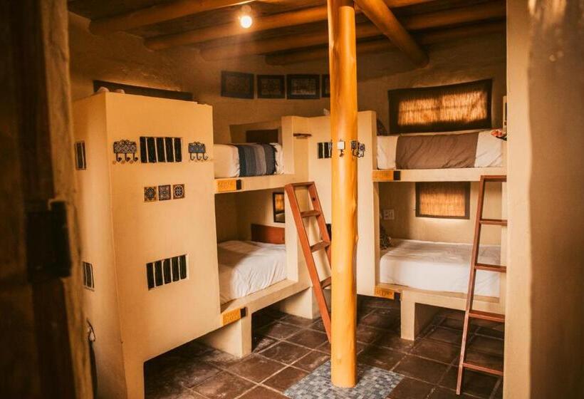 ユースホステル Amphitheatre Backpackers Lodge