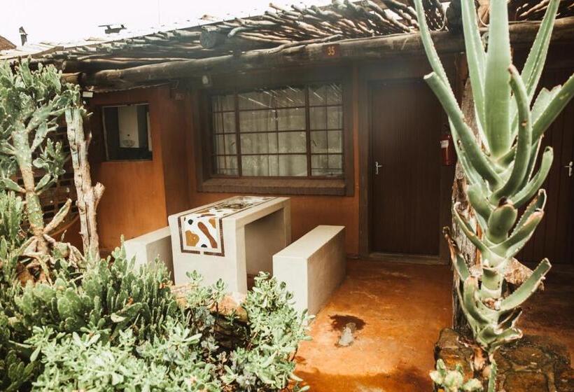 ユースホステル Amphitheatre Backpackers Lodge