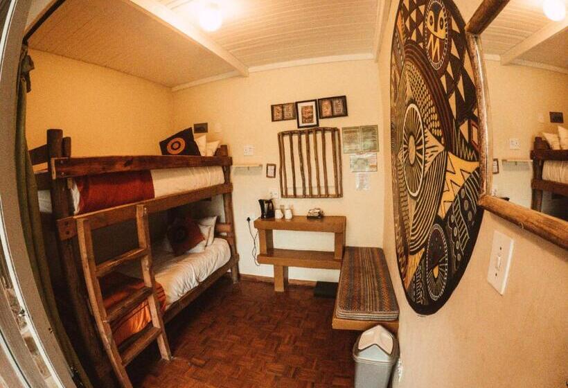 ユースホステル Amphitheatre Backpackers Lodge