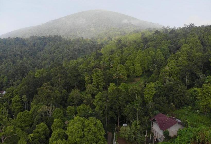 הוסטל Muara Inn Ternate