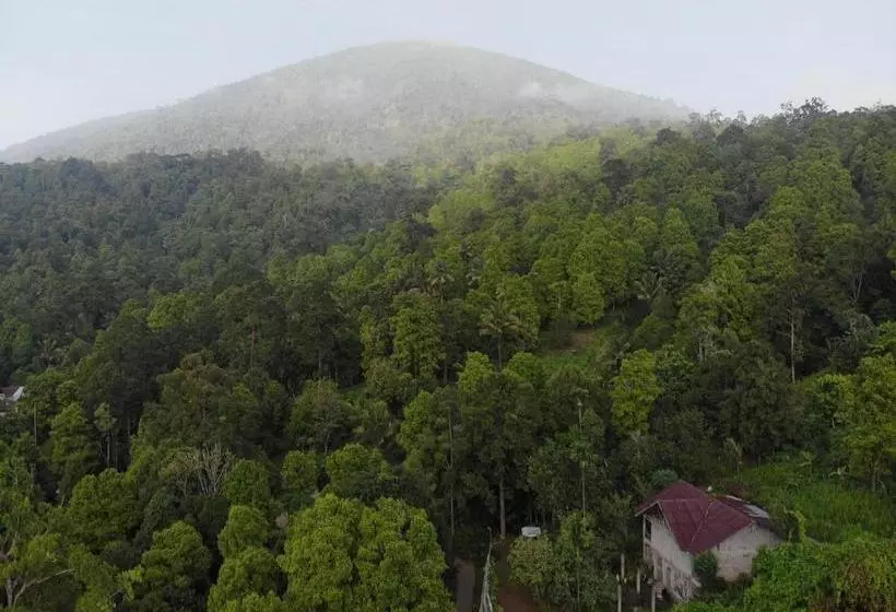 Retkeilymaja Muara Inn Ternate