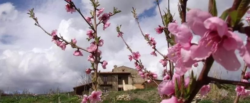 B&b Scacciapensieri   Vini D Altura