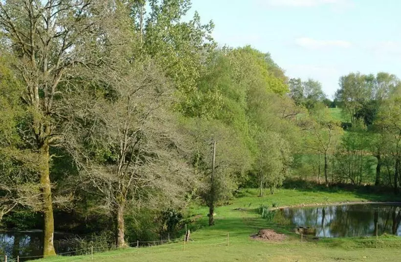 Aamiaismajoitus (B&B) Les Etangs De Pitié
