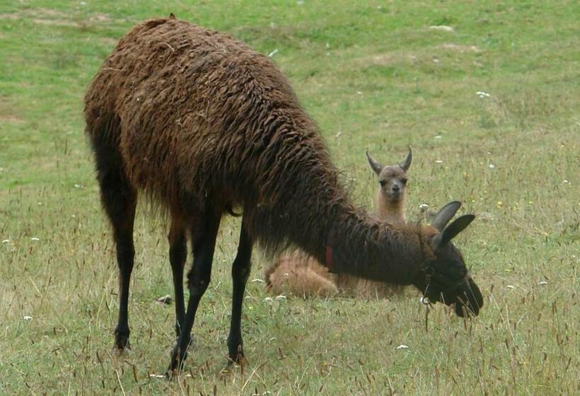 مبيت وإفطار Les Etangs De Pitié