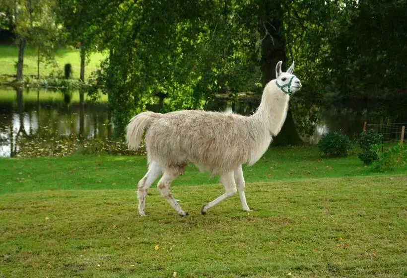 Aamiaismajoitus (B&B) Les Etangs De Pitié