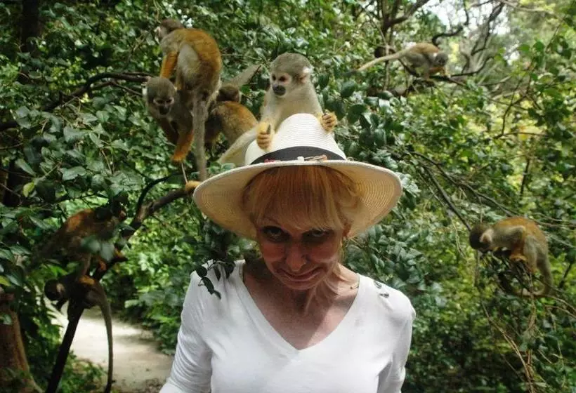 ホテル Big Daddy S Beach Club &