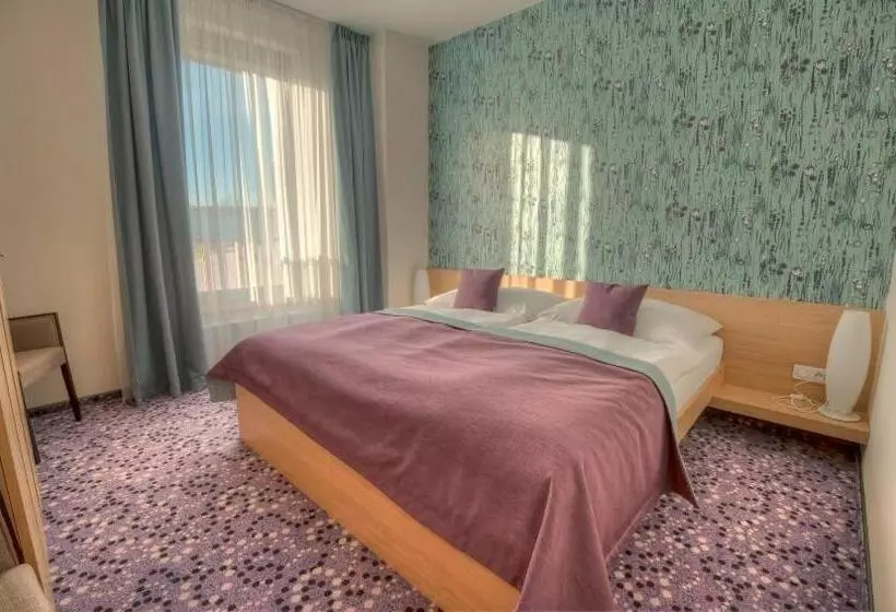 ホテル Vinice Hnanice