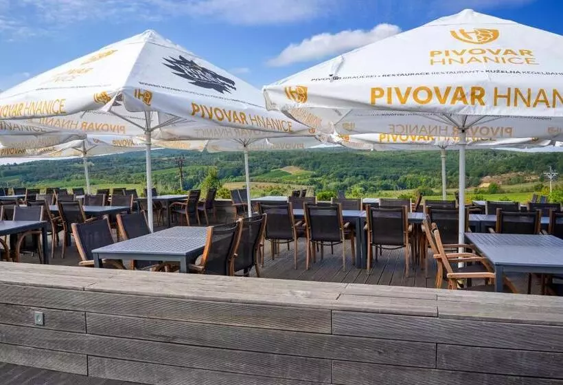 ホテル Vinice Hnanice