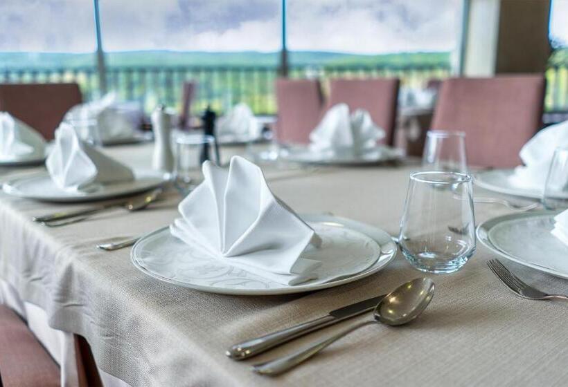 Отель Vinice Hnanice