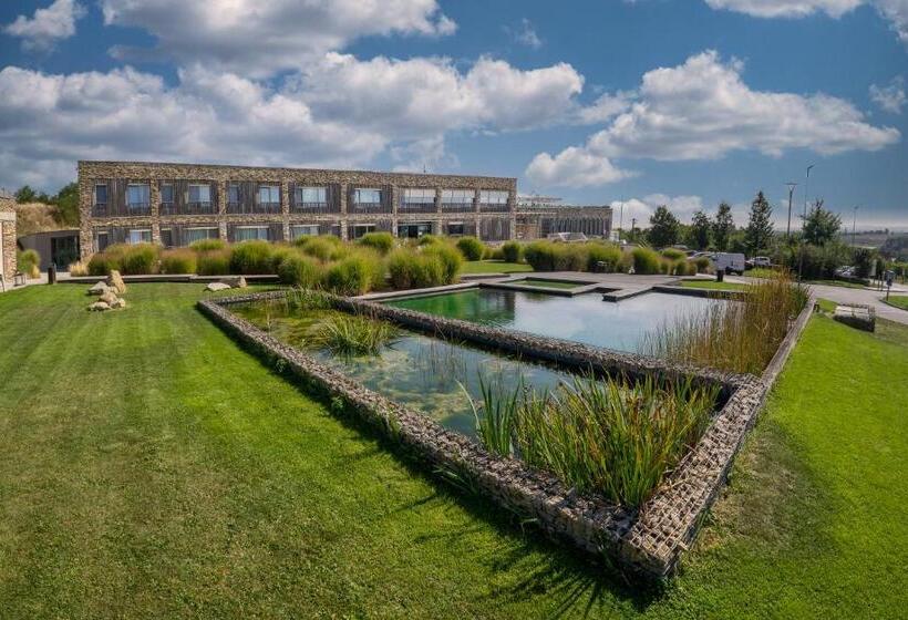 Отель Vinice Hnanice