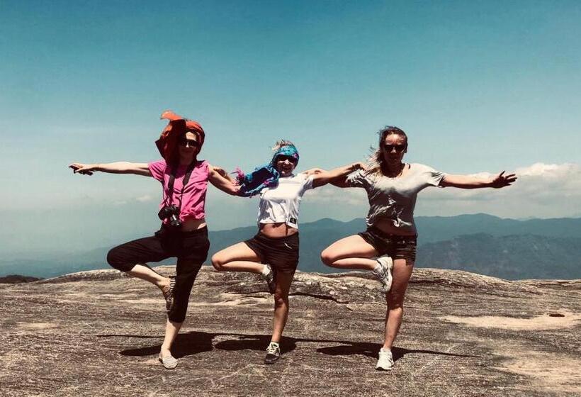 Green Garden Ayurvedic Resort & Green House