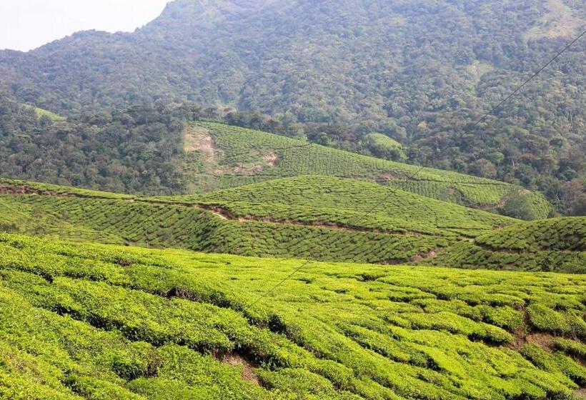 Green Garden Ayurvedic Resort & Green House