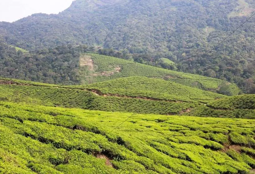 Green Garden Ayurvedic Resort & Green House