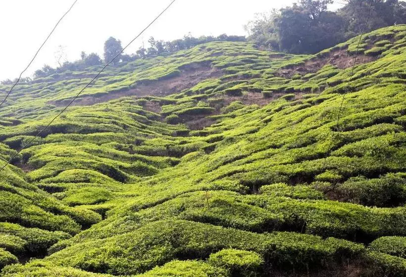 Green Garden Ayurvedic Resort & Green House