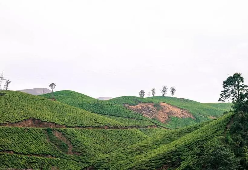 Green Garden Ayurvedic Resort & Green House