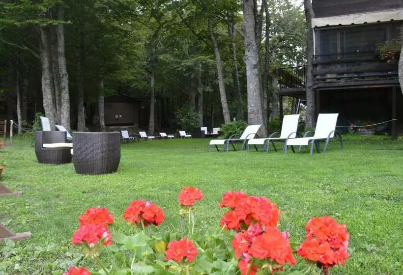ホテル Albergo Sella   Monte Amiata
