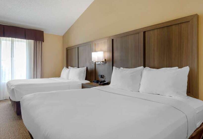 فندق Comfort Suites Dfw Airport