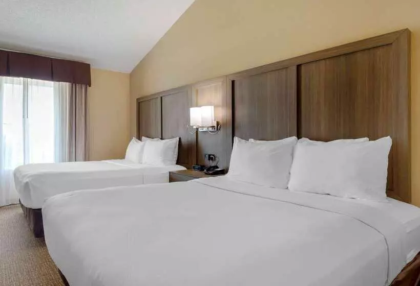 هتل Comfort Suites Dfw Airport