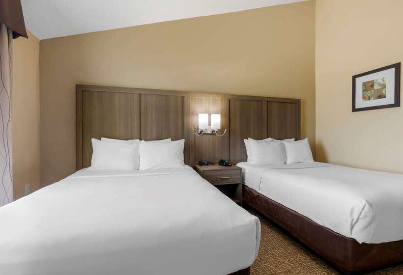 فندق Comfort Suites Dfw Airport