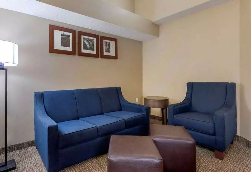 هتل Comfort Suites Dfw Airport