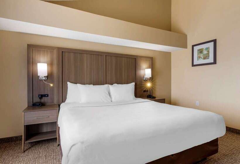 فندق Comfort Suites Dfw Airport