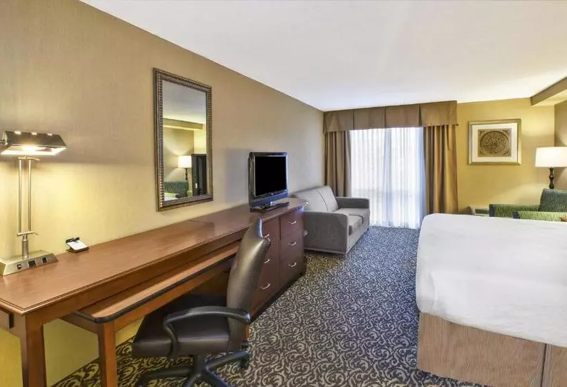 酒店 Holiday Inn National Airport/crystal City, An Ihg