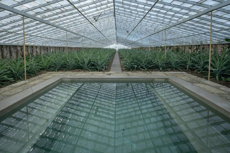 هتل Senhora Da Rosa, Tradition & Nature