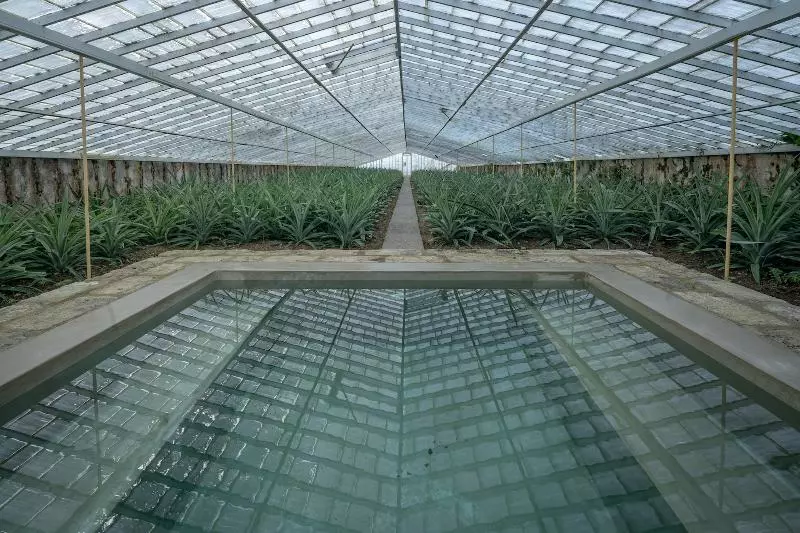 Отель Senhora Da Rosa, Tradition & Nature