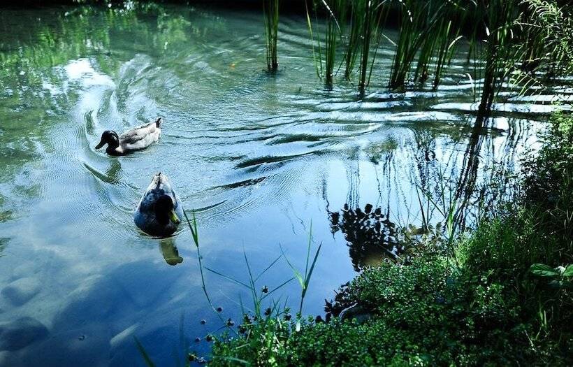 هتل Mudanwan Villa