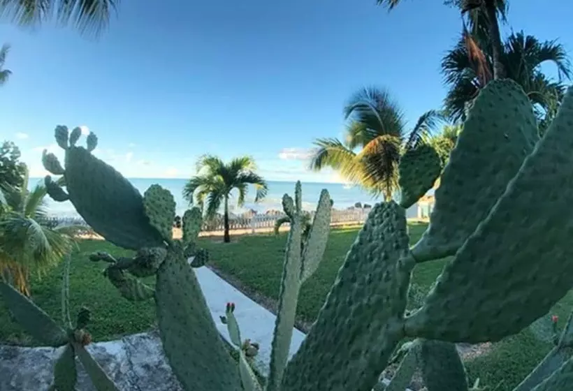 Dickenson Bay Oasis Antigua Village