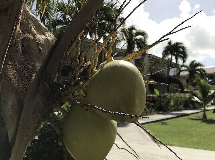 Dickenson Bay Oasis Antigua Village