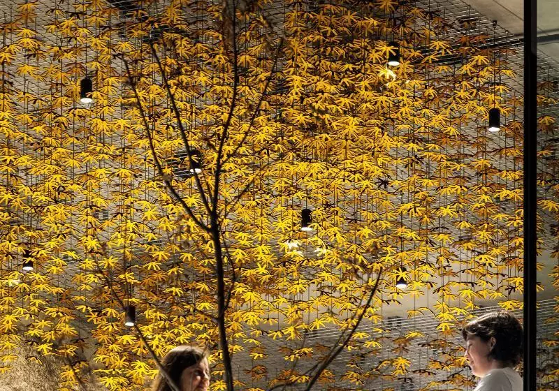 Casa De São Lourenço Burel Panorama Hotel Member Of Design Hotels