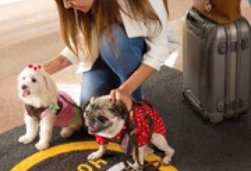 B&b Hotel São José Dos Campos