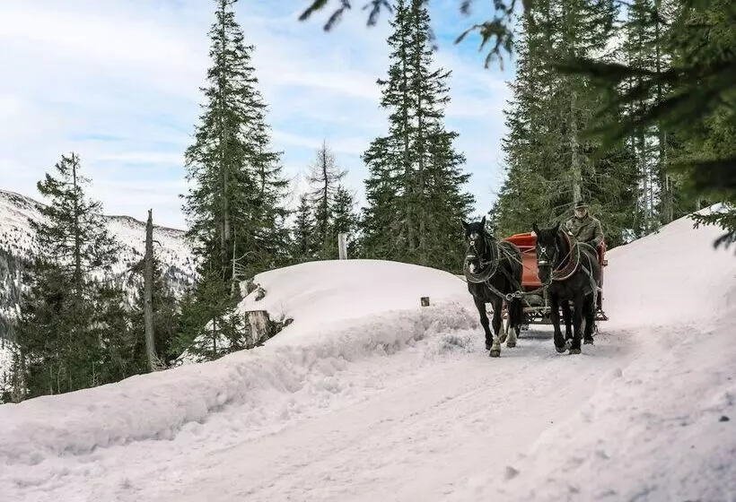 酒店 Falkensteiner Club Funimation Katschberg