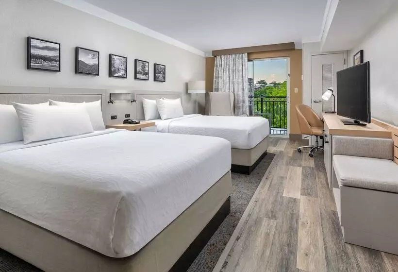 ホテル Hilton Garden Inn Chattanooga Downtown