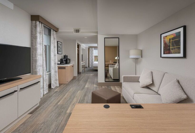 فندق Hilton Garden Inn Chattanooga Downtown