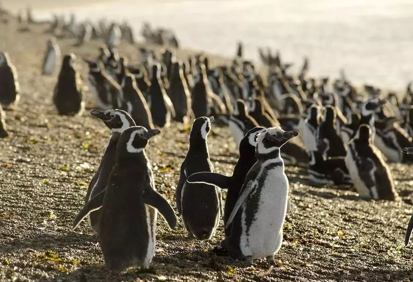 酒店 La Tosca Hostel