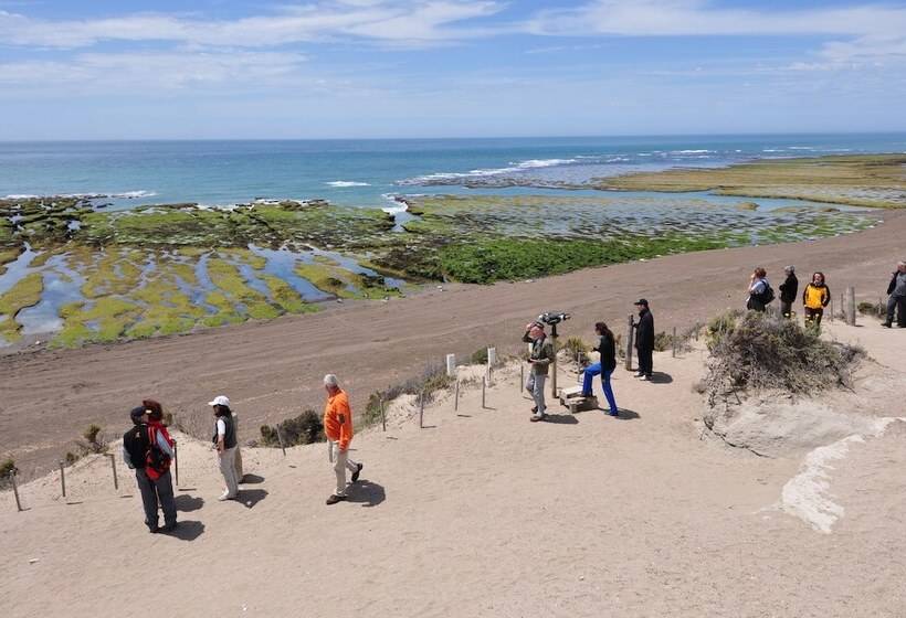 Hotel La Tosca Hostel