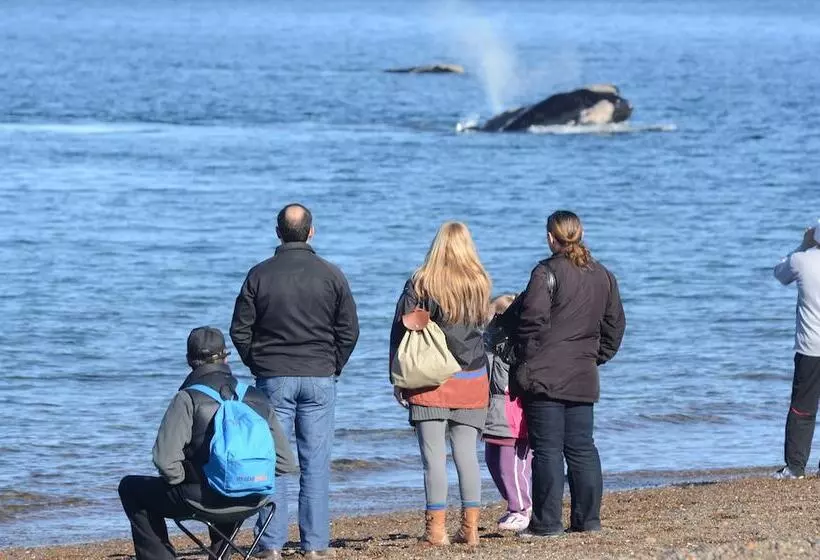 酒店 La Tosca Hostel