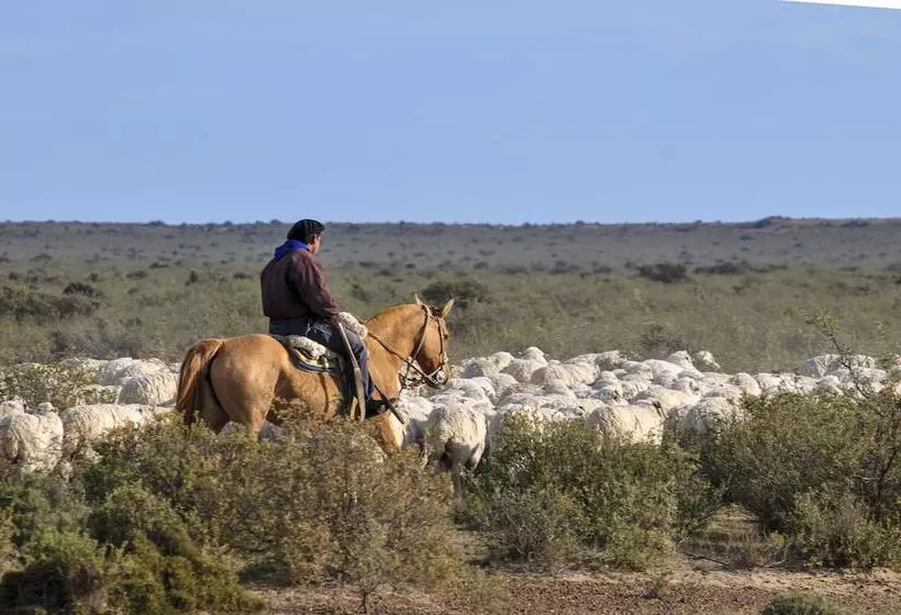 酒店 La Tosca Hostel