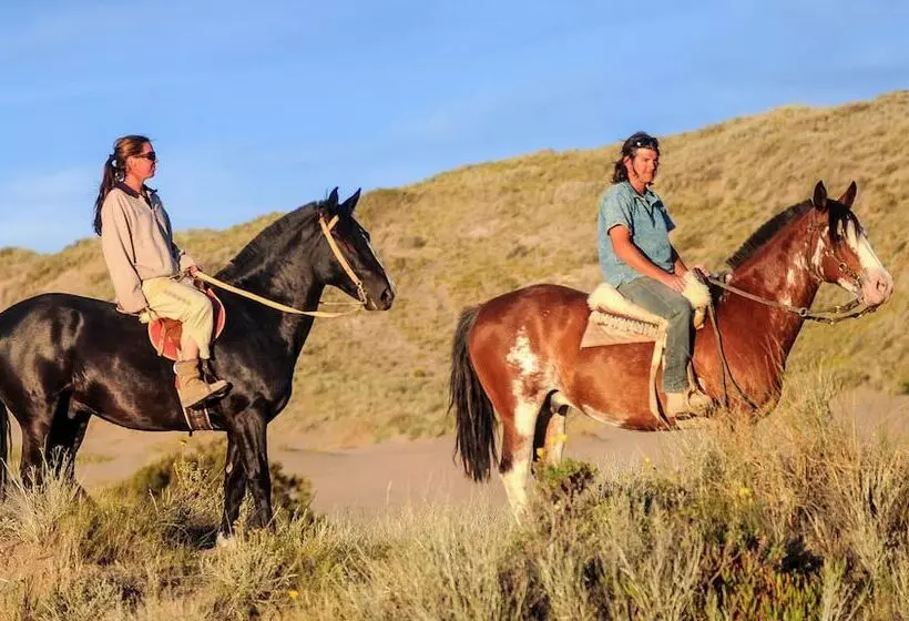 酒店 La Tosca Hostel