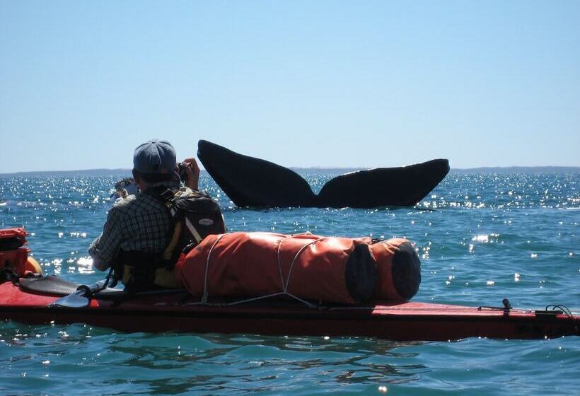 Hotel La Tosca Hostel