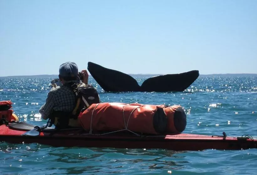 酒店 La Tosca Hostel