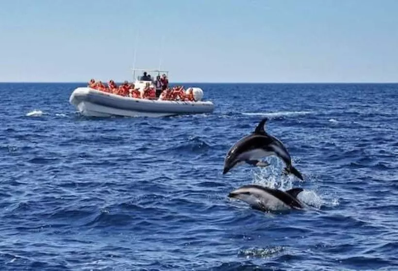 酒店 La Tosca Hostel