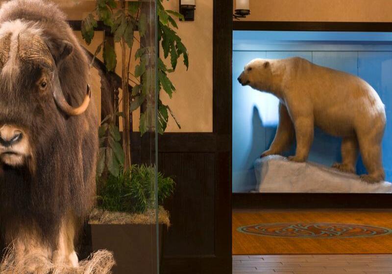 Szálloda The Lakefront Anchorage