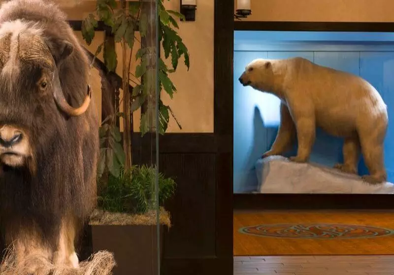 酒店 The Lakefront Anchorage