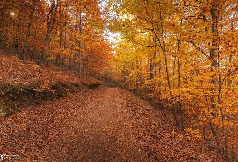 Casa De São Lourenço Burel Panorama Hotel Member Of Design Hotels
