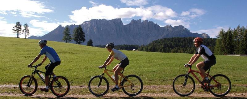 Fotos del hotel Fichtenhof:  8